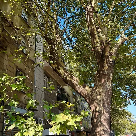 Apartment Creative Kaleidoscope Belgrade